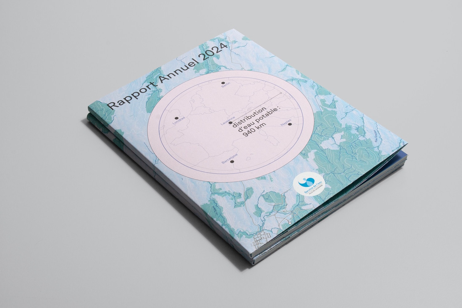 01 RAPPORT ANNUEL SERVICE EAU 2024