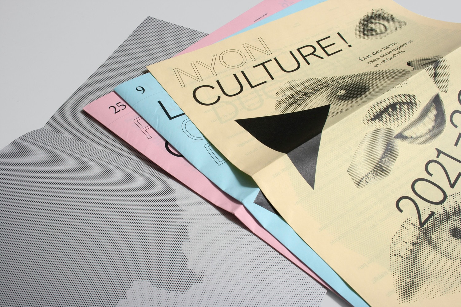04 NYON POLITIQUE CULTURELLE