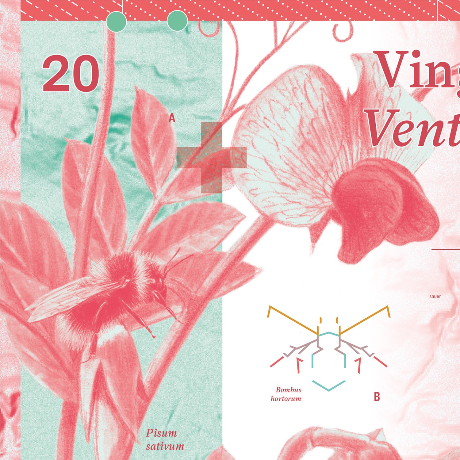 05 10 series swiss banknotes emphase