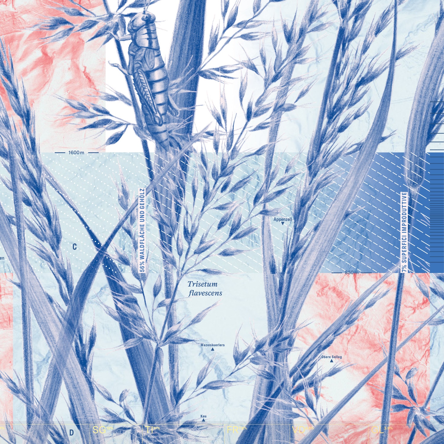 09 10 series swiss banknotes emphase